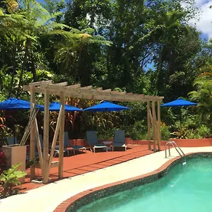 https://el-pequeno-hotel.top-hotels-puertorico.com